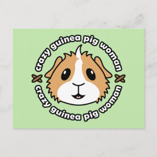 Crazy Guinea Pig Woman Postcard