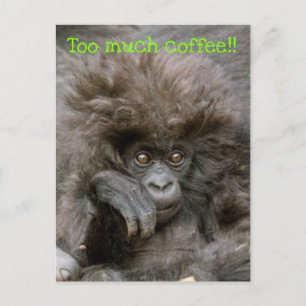 Crazy Hair Monkey Too Much Coffee Postcard