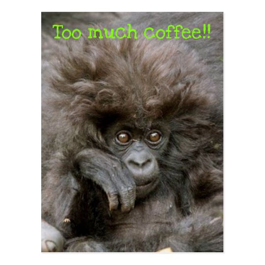 Crazy Hair Monkey Too Much Coffee Postcard
