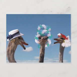 Crazy Hat Day at the Races Postcard