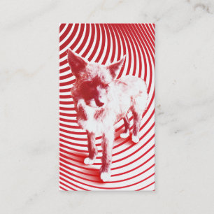 crazy hazie business card
