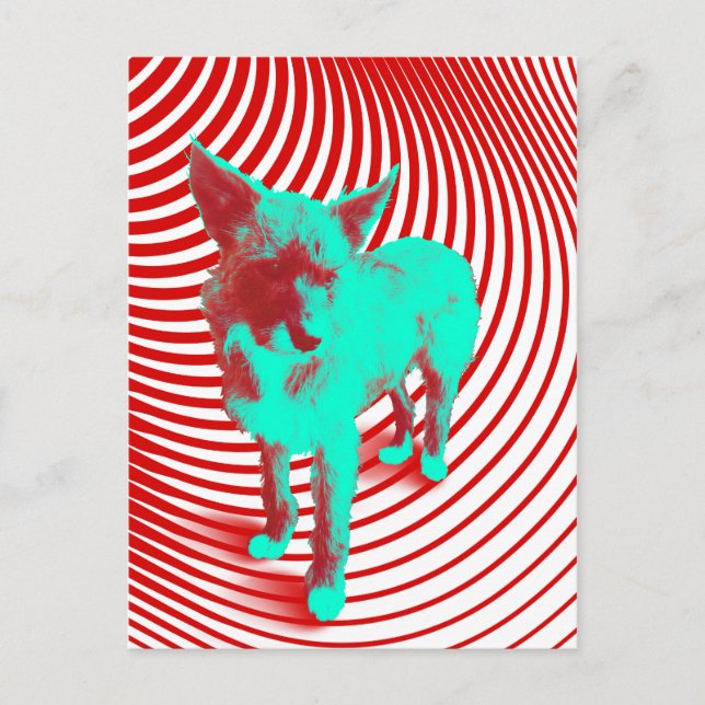 crazy hazie pups postcard (Front)