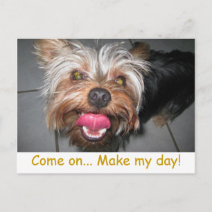 Crazy Jasper ~ Postcard