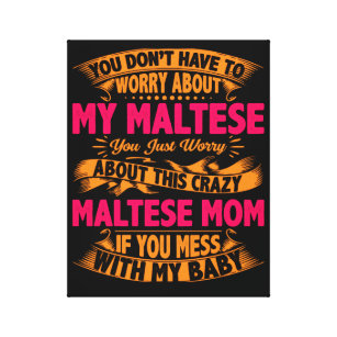 Crazy Maltese Mum Canvas Print