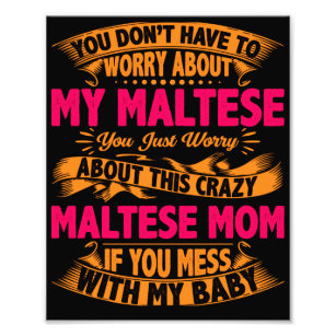 Crazy Maltese Mum Photo Print
