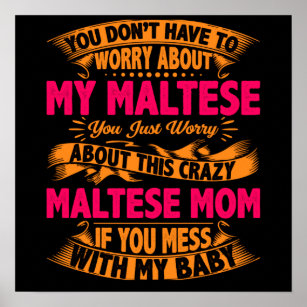 Crazy Maltese Mum Poster