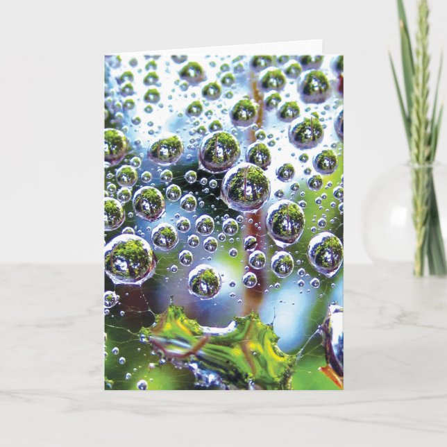 Crazy, Mesmerising, Dew Drop Card (Front)