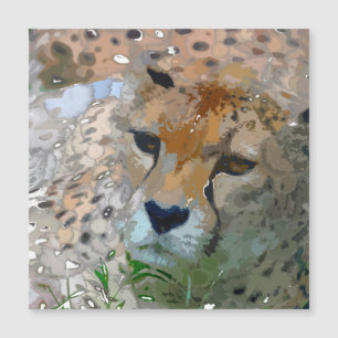 Crazy Paint - Cheetah