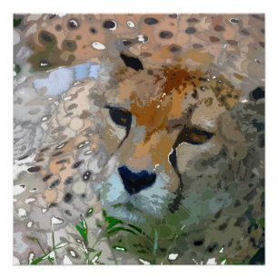 Crazy Paint - Cheetah Poster