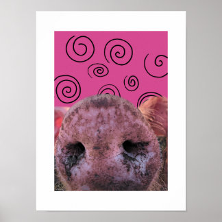 Crazy Pig Poster