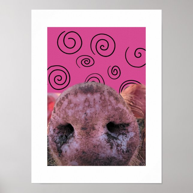 Crazy Pig Poster (Front)