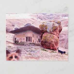 Crazy Postcard Dog Cat Funny Collage