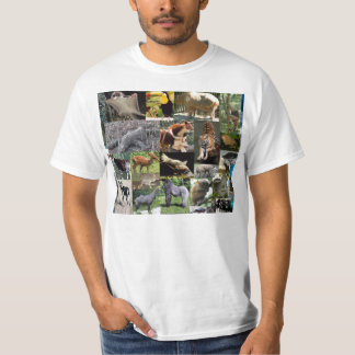 Crazy Safari T Shirt