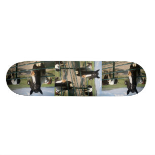 CrAzY Sk8 Horse Skateboard