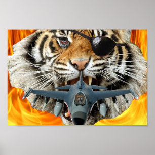 Crazy Tiger Poster