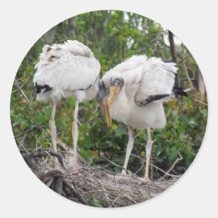 Crazy Wood Stork Stickers