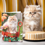 Cream and Ginger Tabby Cat in Red Wagon Birthday Card<br><div class="desc">"Make their birthday 'purrfect' with our adorable tabby cat birthday card! 🐾 Featuring a charming cream and ginger tabby kitten with orange daisy flower detail inside, it's a delightful choice for cat lovers. Inside, you'll find a heartfelt birthday wish that you can personalise to add your personal touch. Send warm...</div>