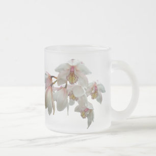 Cream and Pink Orchids Frosted Glass Coffee Mug
