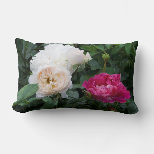 Cream and Pink Streaked Roses Lumbar Pillow (Front)