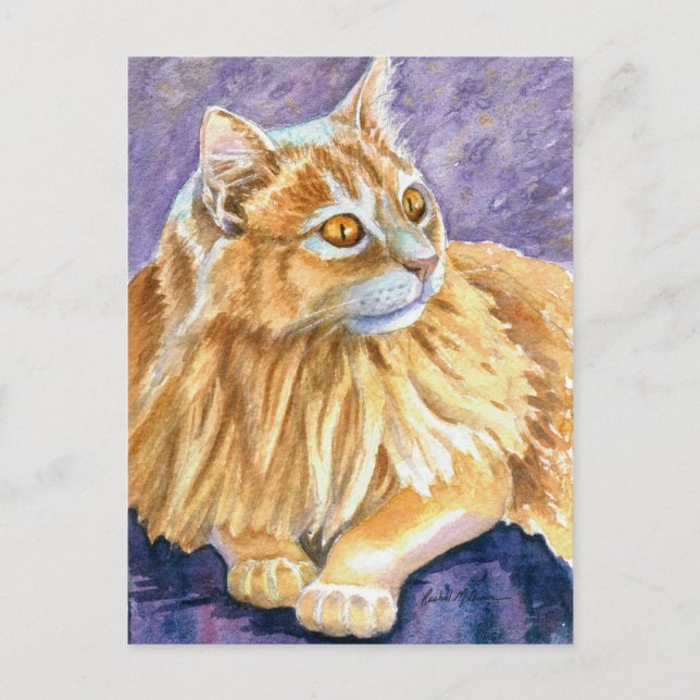 Cream Angora Cat Postcard (Front)