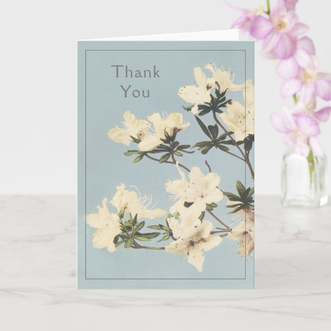 Cream Azalea Flowers Thank You Card (Orchid)