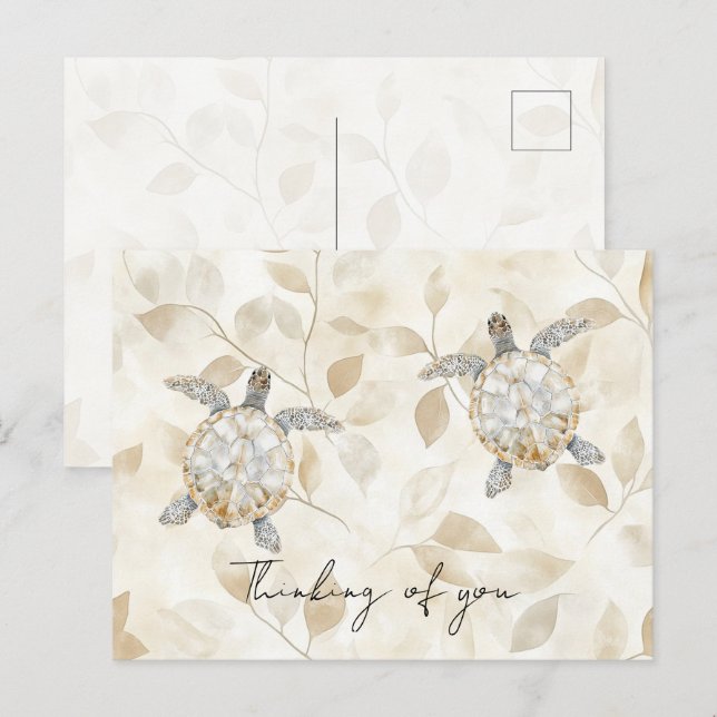 Cream Beach Sea Turtles Thinking of you Postcard (Front/Back)