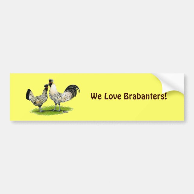 Cream Brabanter Chickens Bumper Sticker (Front)