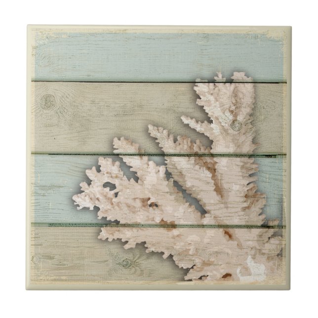 Cream Coloured Coral Tile (Front)