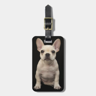 Cream coloured French Bulldog puppy Luggage Tag