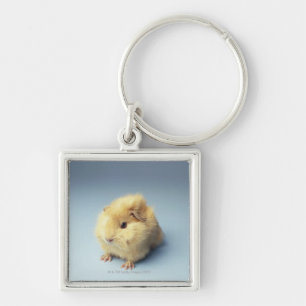 Cream coloured Guinea pig Key Ring