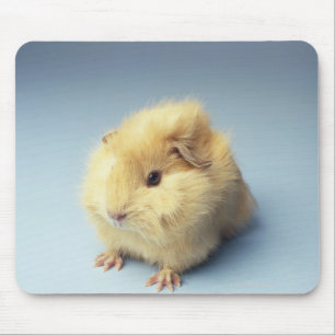 Cream coloured Guinea pig Mouse Mat