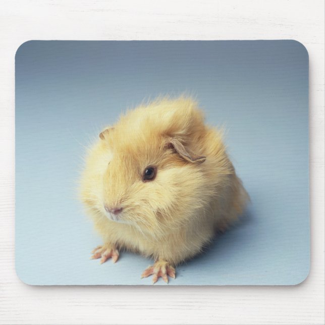 Cream coloured Guinea pig Mouse Mat (Front)