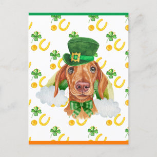 Cream Dachshund Dog Shamrock St. Patricks Day Holiday Postcard