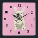 Cream French Bulldog Square Wall Clock<br><div class="desc">Cream French Bulldog ,  pink</div>