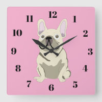Cream French Bulldog
