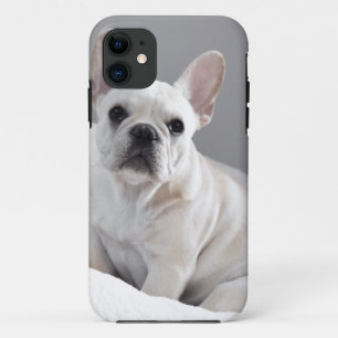 Cream Frenchie iPhone 11 Case