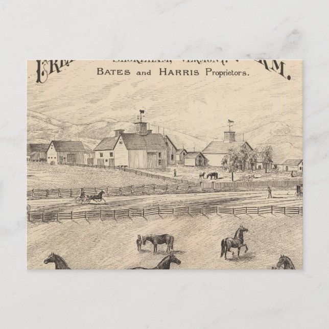 Cream Hill Stock Farm in Shoreham Vermont Postcard (Front)