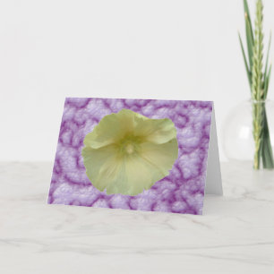 Cream Hollyhock Greeting Card