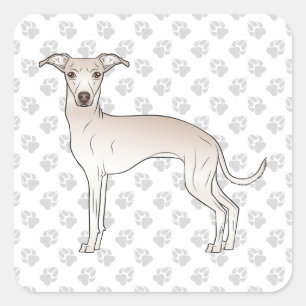 Cream Italian Greyhound Cute Cartoon Dog With Paws Square Sticker