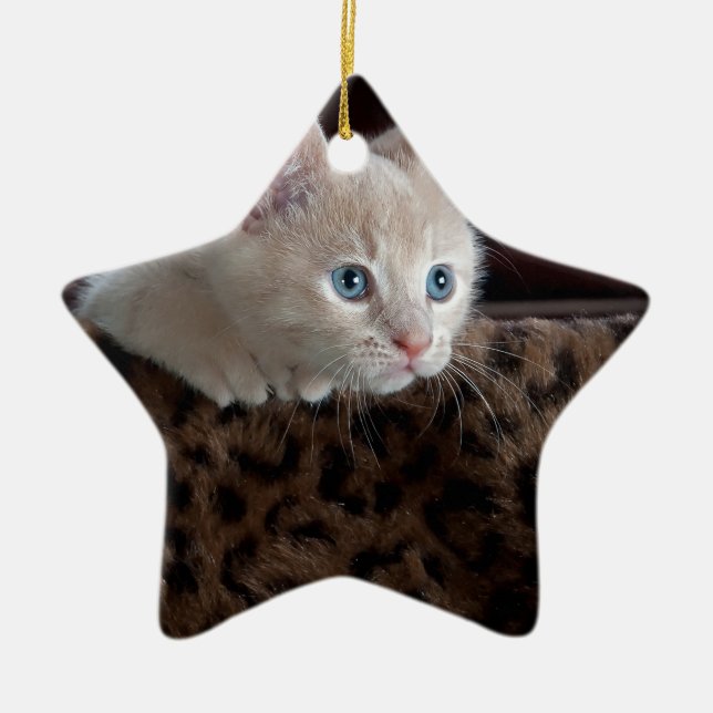 Cream Kitten with Beautiful Blue Eyes Ceramic Tree Decoration (Front)