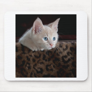 Cream Kitten with Beautiful Blue Eyes Mouse Mat