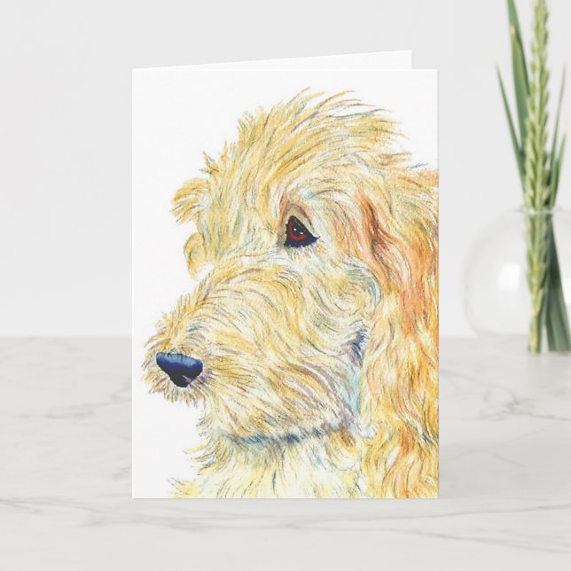 Cream Labradoodle #2 Greeting Card (Front)