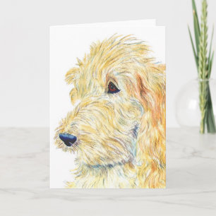 Cream Labradoodle #2 Greeting Card