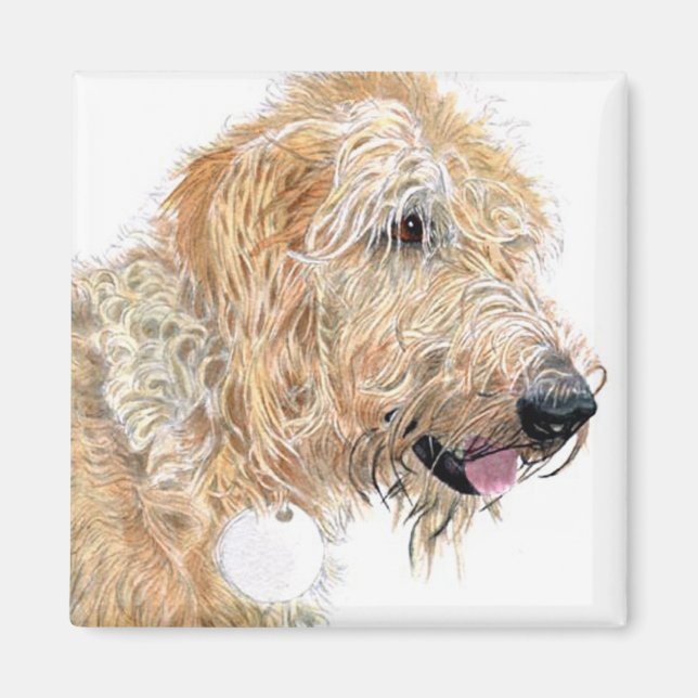 Cream Labradoodle Magnet (Front)