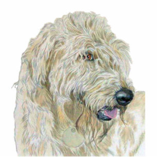 Cream Labradoodle Sculpture Standing Photo Sculpture