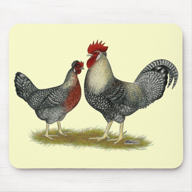 Cream Legbar Chickens Mouse Mat (Front)