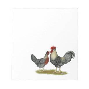 Cream Legbar Chickens Notepad