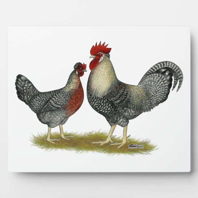 Cream Legbar Chickens Plaque (Front)
