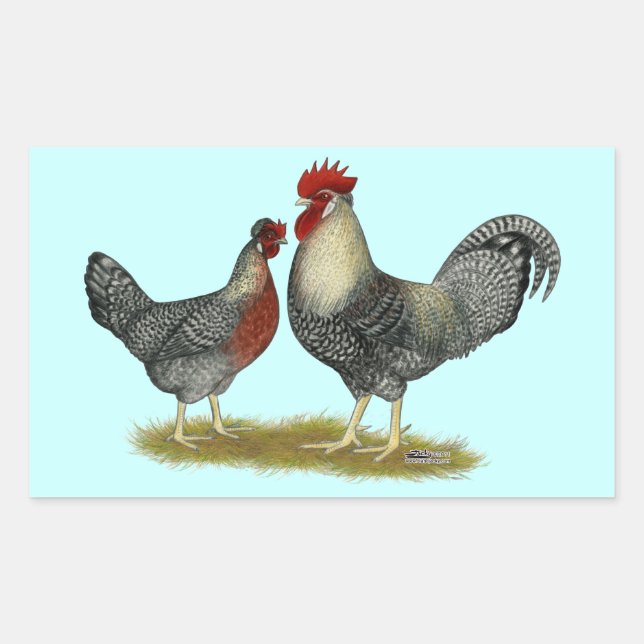 Cream Legbar Chickens Rectangular Sticker (Front)