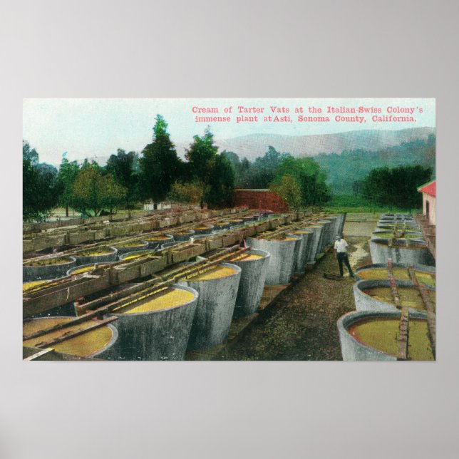 Cream of Tartar Vats View at Italian-Swiss Colon Poster (Front)